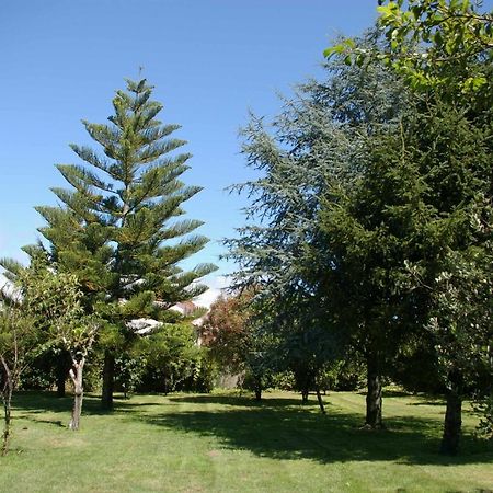 Вилла Vivienda Tradicional Con Jardin Y Patio Interior Вильянуэва-де-Ароса Экстерьер фото